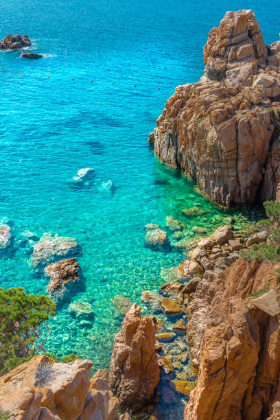 istock Crystal clear waters of Li Cossi beach, Sardinia 1419664765