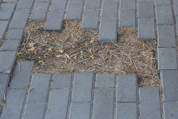 istock part of a broken pavement made of gray bricks 1419665506