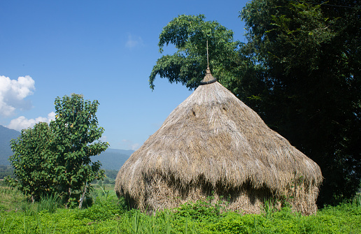 Straw , A hut in the middle of a field made of dry straw , The cottage stores dry straw.