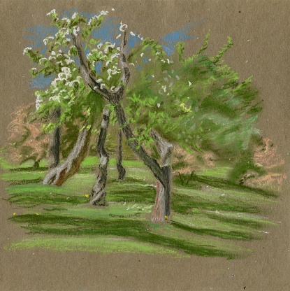 Glade with green grass and flowering trees, pastel drawing on khaki paper