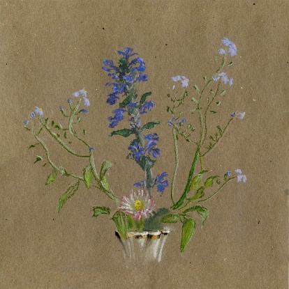 bouquet of blue wildflowers in a white vase isolated from paper background