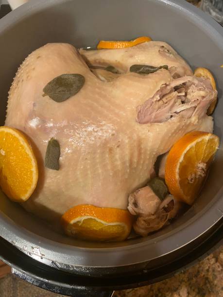 istock Raw Turkey in a Pressure Cooker 1419668378