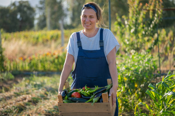 istock Carrying fresh vegetables from farm to table 1419670019