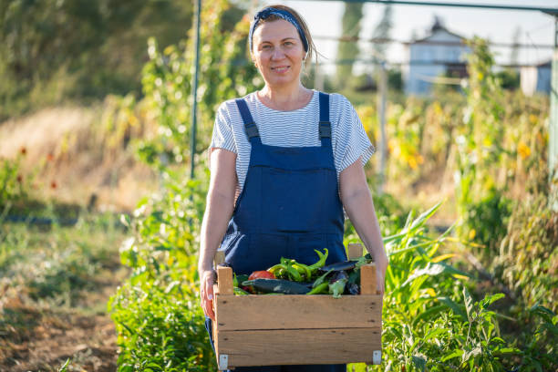istock Carrying fresh vegetables from farm to table 1419670147