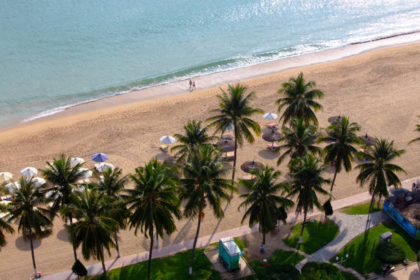 istock Beach with palm trees and umbrellas on top. 1419673569