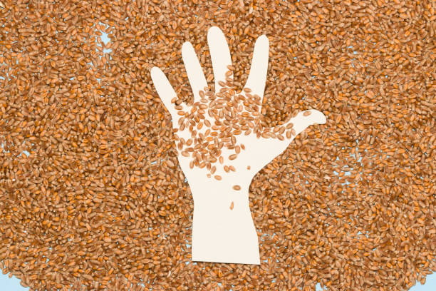 paper hand with a bit of breadcrumbs on it under the hand also breadcrumbs, food crisis - healthy eating freight transportation globe planet imagens e fotografias de stock