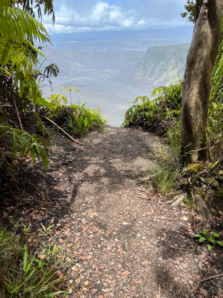 Trail opening overlooking a crater at Volcanoes National Park in Hawaii.