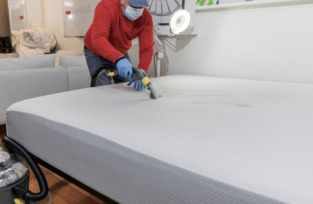istock Mature specialist deep washing the office couch, removing stains from coffee. 1419689832