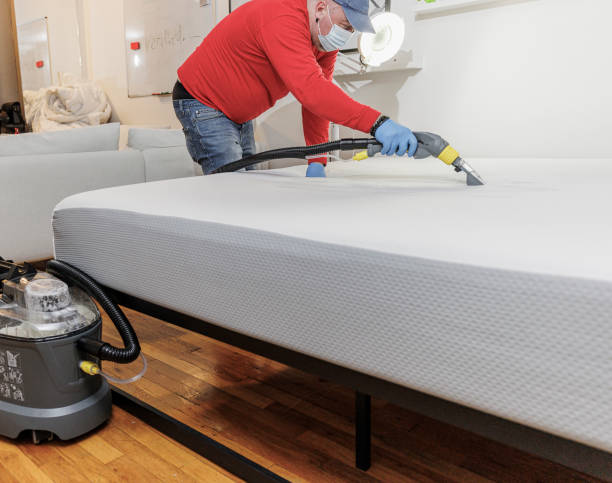 istock Mature specialist deep washing the office couch, removing stains from coffee. 1419689836