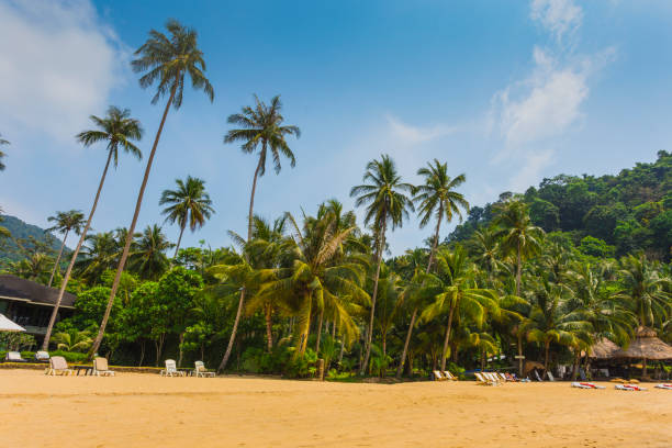 istock Beautiful tropical beach at island Koh Chang 1419693093