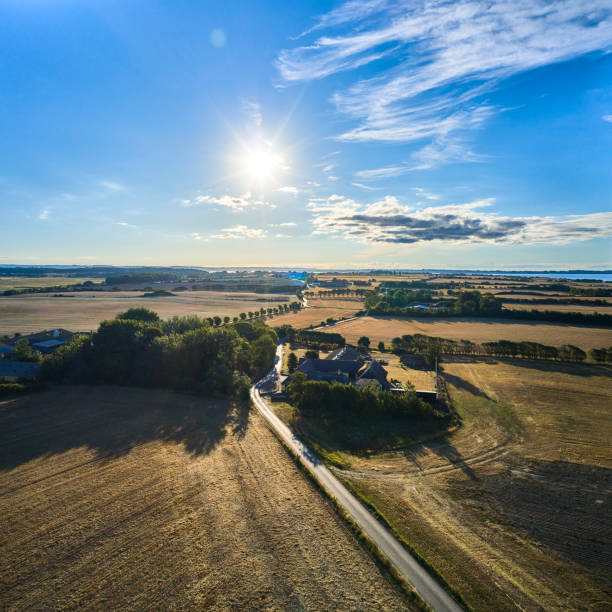 istock Field stubble in drone point of view 1419697274