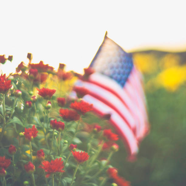 istock American flag with fall chrysanthemums for Labor day 1419699030