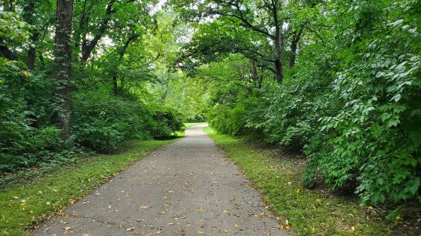 istock State Park in Illinois, USA 1419699724