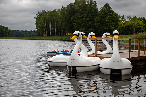 Plastic swan pedal boat on a lake
