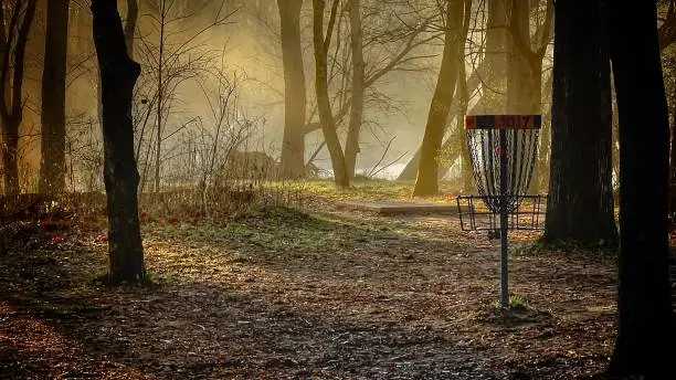 Disc golf basket in the early morning sun rays in the middle of the woods.
