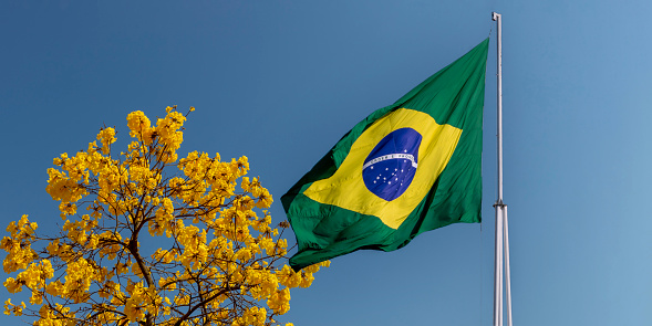 Flag of Brazil fluttering in the wind. In the center of the flag with the words order and progress in Portuguese