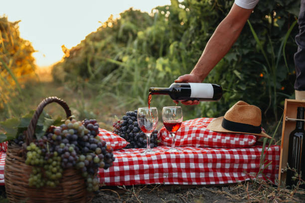 garrafas e taças de vinho com uvas na cena rural - tuscany italy italian culture autumn - fotografias e filmes do acervo