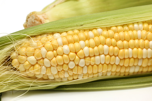 Raw corns isolated on a white background.