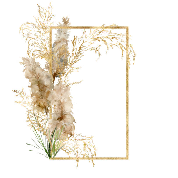 Watercolor Gold Frame Of Tropical Pampas Grass Hand Painted Border Of  Exotic Dry Plant Isolated On White Background Floral Illustration For  Design Print Fabric Or Background Stock Illustration - Download Image Now 
