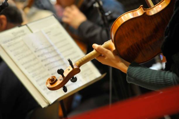 a violinist with violin plays in an orchestra a violinist with violin plays in an orchestra, classical music concert hall stock pictures, royalty-free photos & images