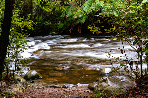 Creek at Badgers Weir Picnic Ground. Healesville, Victoria. Rainy day.