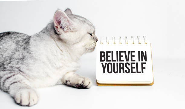 grey kitten and paper notebook with text believe in yourself stock photo