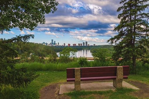 A lone bench looking out over the Edmonton river valley from a summer park.