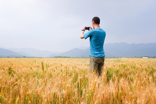 A man stands in the wheat field to take photos