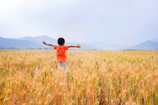 Baby standing in golden wheat field smiling