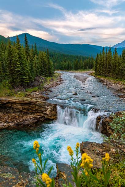 istock Morning Sky Over Sheep River Falls 1419717736
