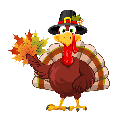Happy Thanksgiving Day. Funny Thanksgiving Turkey bird in pilgrim hat holding maple leaves. Stock vector illustration on white background