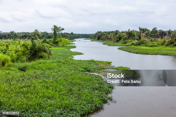 River Aye Stock Photo - Download Image Now - Color Image, Horizontal, Nigeria