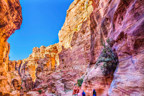 istock Outer Siq Canyon Hiking Entrance Petra Jordan 1419725422