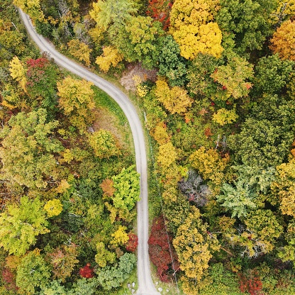 Aerial Photography of Wooded rural area in Upstate New York. Nature images from tree covered mountains, Hudson Valley NY