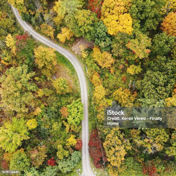 Aerial Photography Of Wooded Rural Area In Upstate New York Stock Photo - Download Image Now