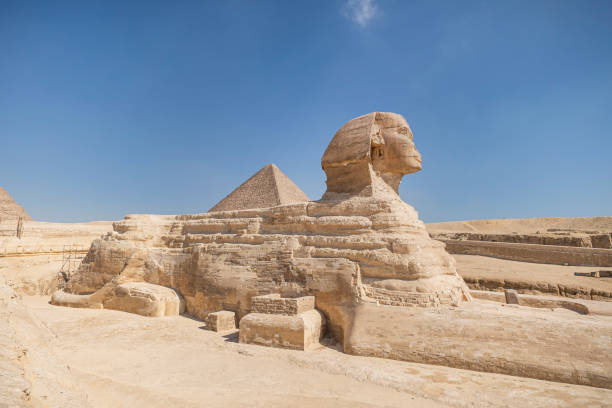 close up of great sphinx of giza, egypt. limestone statue of a reclining sphinx, mythical creature with the body of a lion and the head of a human against the blue sky - khafre imagens e fotografias de stock