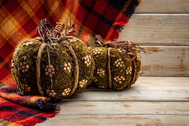 This is a close up photo of tweed pumpkins on a plaid felt and wood textured background. There is space for copy. This image would work well for autumn, fall, Thanksgiving and a holiday Halloween season in the fall.