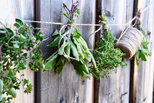 An image of fresh picked organic herbs hanging in bunches to dry.