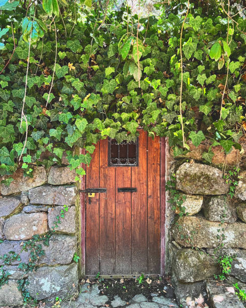 istock Wooden door 1419735201
