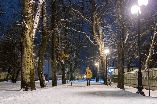 Woman in the yellow winter jacket is walking with her cat on a leash in the evening. Snow lies on the path, and streetlights shine.
