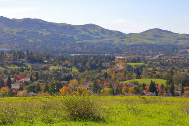 istock First bloom in Sycamore Valley Open Space in Northern California 1419735895