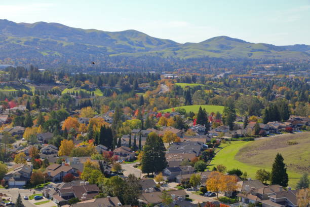 istock Sycamore trees in fall splendor, San Ramon, California 1419735899