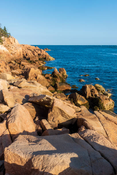 istock Rocky shore in Acadia National Park 1419741116