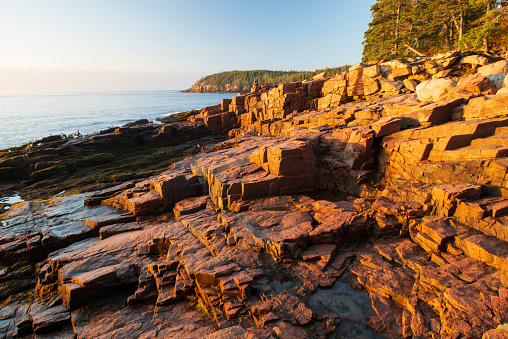 Rocky shore in Acadia National Park, Maine, USA