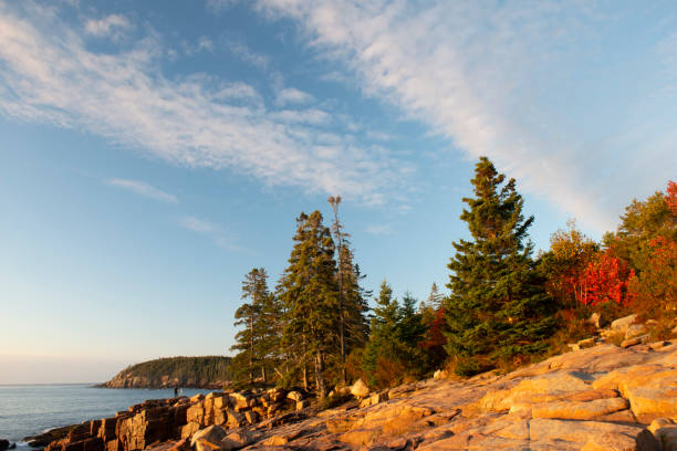 istock Rocky shore in Acadia National Park 1419741397
