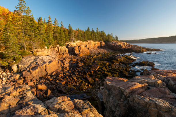 istock Rocky shore in Acadia National Park 1419741457