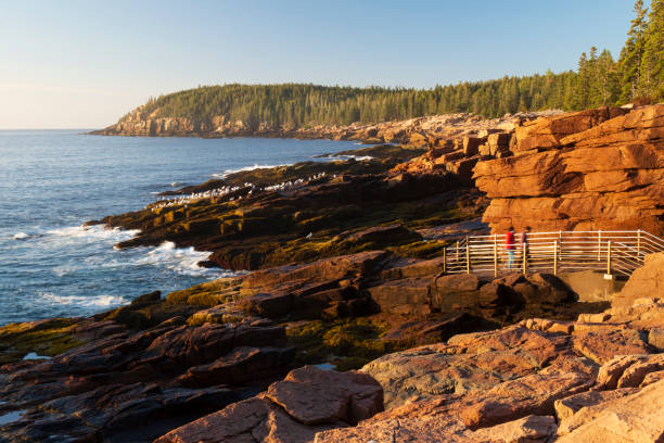 istock Thunder Hole in Acadia National Park 1419741461