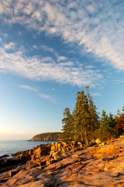istock Rocky shore in Acadia National Park 1419741465