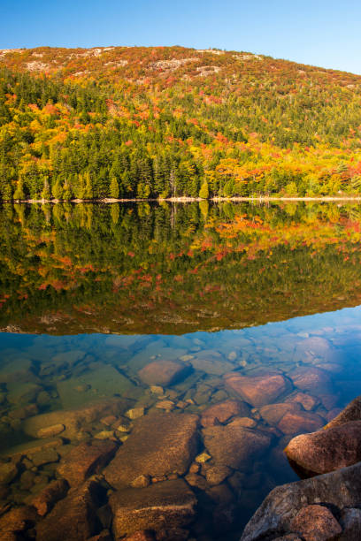 jordan pond in fall - jordan imagens e fotografias de stock