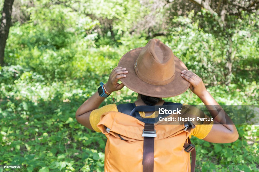 Woman hiker. Attractive young woman with backpack hiking in green forests in autumn day. Young Woman hiker. Attractive young woman with backpack hiking in green forests in autumn day. 25-29 Years Stock Photo